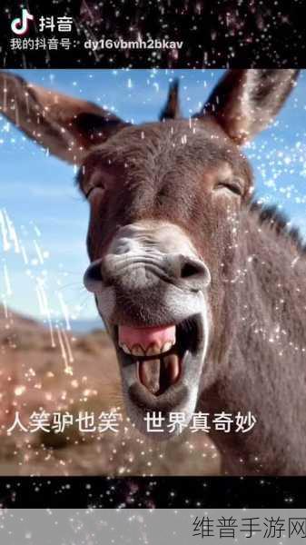 会说话的驴iOS游戏下载,探索驴子奇妙世界的有声冒险