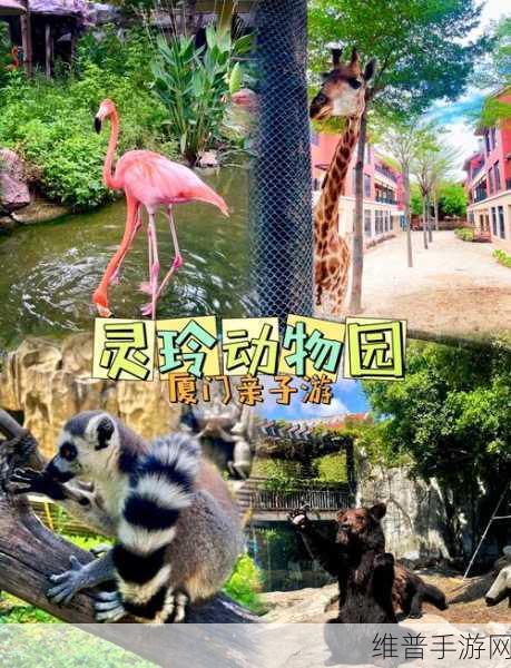 探索农村动物园的奇妙经营之旅