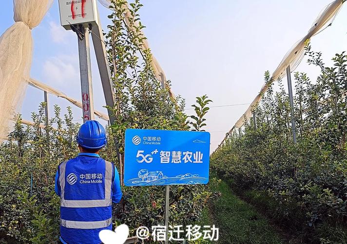 5G-A赋能田园新体验!华为联通携手试水<乡村直播大冒险>手游