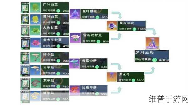 创造与魔法月圆载具属性揭秘及趣味玩法探索