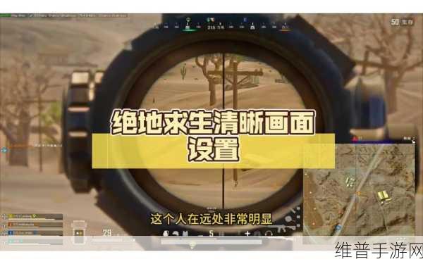 绝地求生手游N卡画面卡顿?高效解决方案与趣味玩法揭秘!