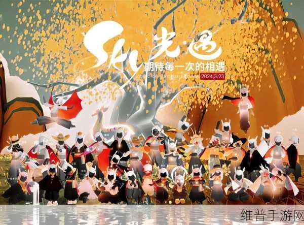 Sky光遇画质提升攻略,轻松设置分辨率,探索奇妙世界