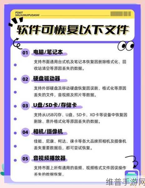 奇幻王国,数据守护者手游资讯——利用金士顿数据恢复工具,解锁丢失宝藏的实用技巧