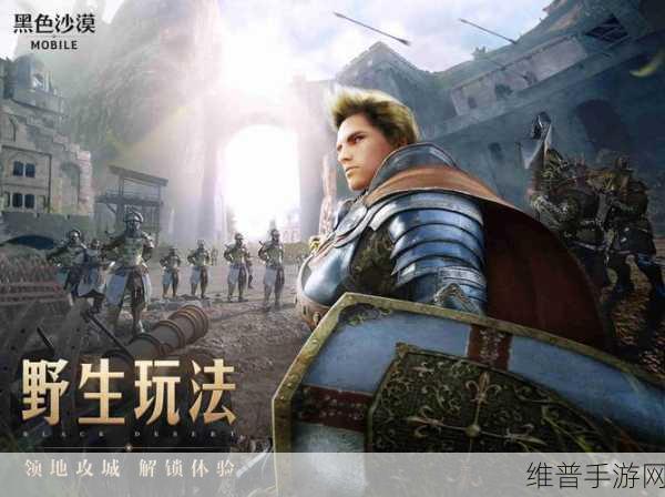 黑色沙漠手游洛基亚农场知识获取全攻略,解锁隐藏玩法与趣味探索