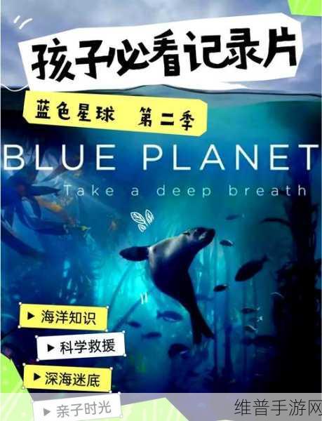 深海秘境,探索海洋之心手游资讯——走进内心世界,探索海洋生物与自由宁静的奥秘