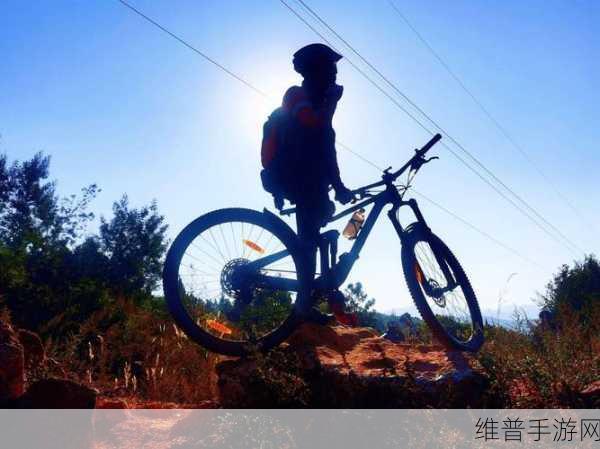 曼哈顿追逐赛,风驰电掣的极速之旅
