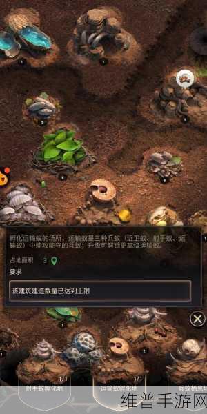 探索小蚁王国,模拟建设的无限乐趣