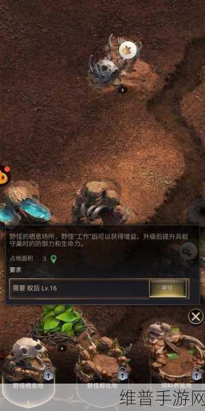 探索小蚁王国,模拟建设的无限乐趣