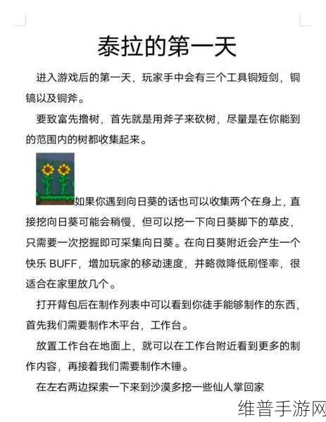 泰拉瑞亚圣骑士锤获取攻略及爆率详解,解锁你的回旋镖神器!