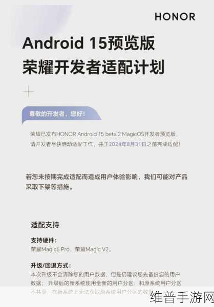 安卓平台王者荣耀深度解析,适配优化、独特特性与极致用户体验全攻略