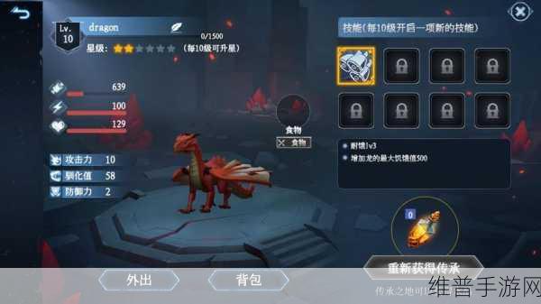 冰原守卫者龙装备进阶全攻略,解锁龙之力,征服极寒之地!