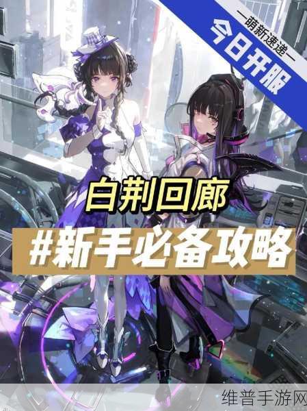 白荆回廊预抽卡角色精选指南，打造梦幻阵容的秘诀