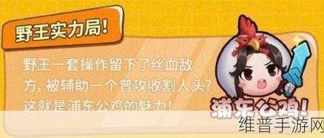 王者荣耀张大仙表情包口令码全攻略,解锁趣味新玩法!