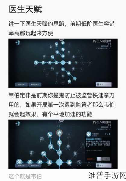第五人格医生角色深度攻略,掌握治疗与生存的双重艺术