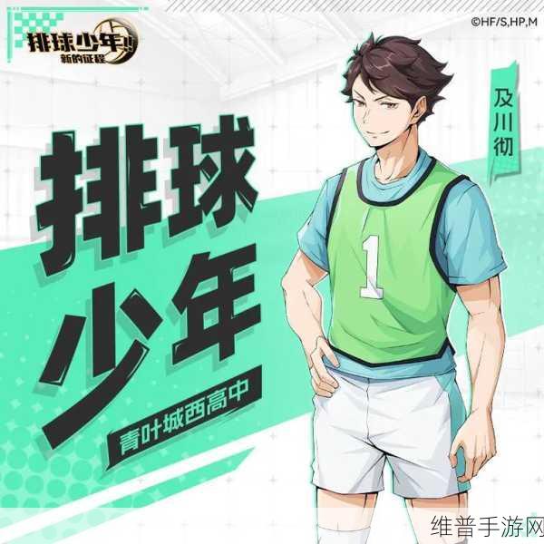 排球少年手游深度解析,鸥台为何是拦网最强?探索趣味玩法!
