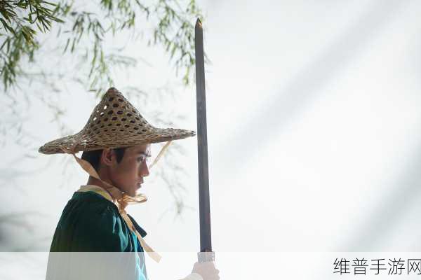 少侠好剑,驰骋江湖的动作之旅