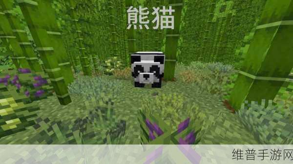 我的世界大熊猫,萌宠新玩法,探索生态奇趣之旅!