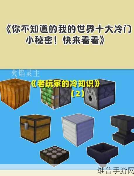 我的世界最新版冷知识大全,解锁趣味玩法与隐藏秘密