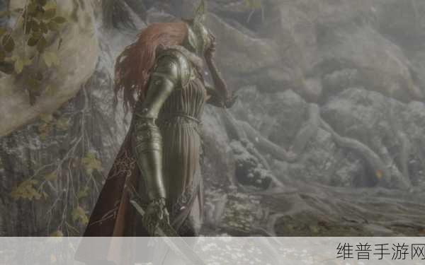艾尔登法环手游角色升级全攻略,解锁战斗潜能,征服奇幻世界的秘诀
