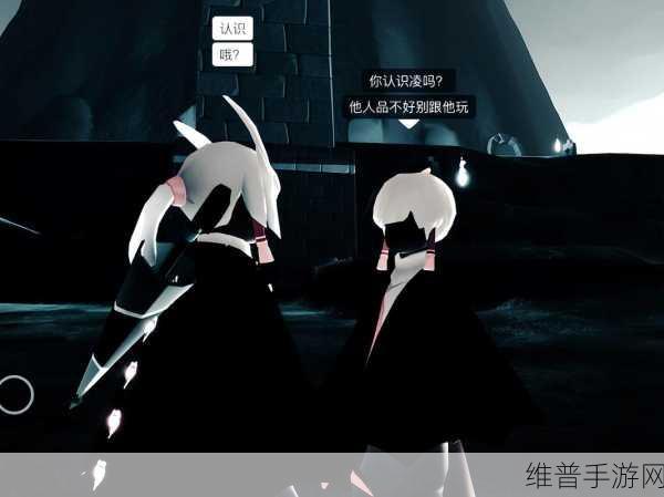 光遇白鸟测试服,全物品畅享的冒险之旅