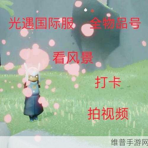 光遇白鸟测试服,全物品畅享的冒险之旅