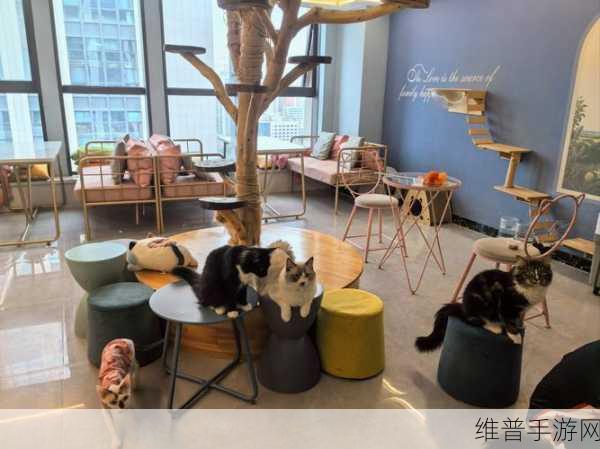 猫咪豪宅,休闲益智经营的梦幻之旅