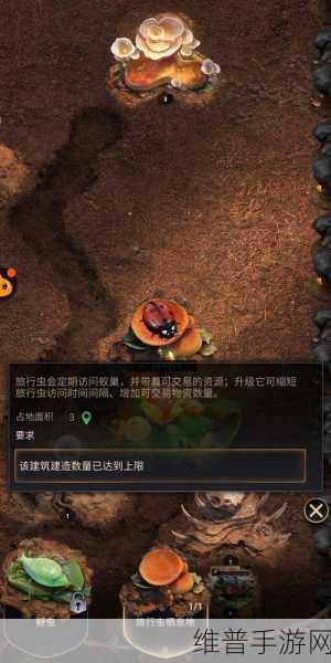 畅玩蚂蚁模拟大亨无限钻石版 沉浸逼真 3D 昆虫世界