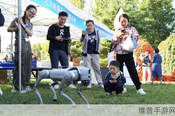 畅玩电力修复机器人 尽享休闲欢乐时光