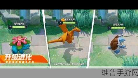 宝可梦大集结体验服,免费畅玩的精彩 MOBA 竞技之旅