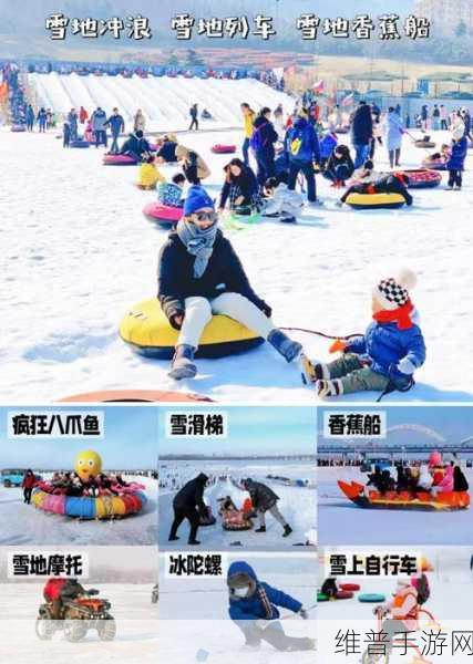 畅玩清理积雪,趣味无限的休闲益智之旅