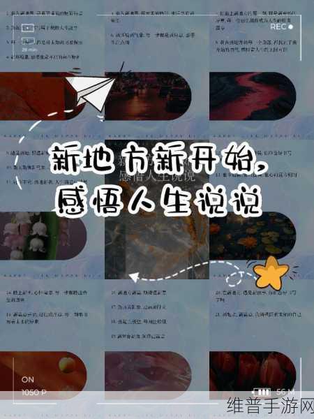 我的人生解答书,畅玩交流游戏,探索未知人生
