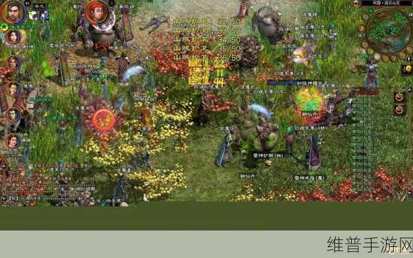 绿色征途 7723 版官服,MMORPG 角色之旅的畅爽指南