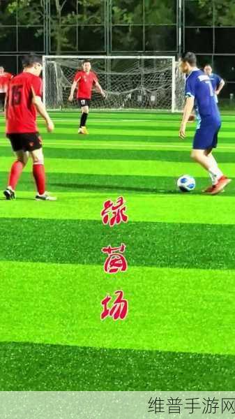 绿茵传奇 2024 新版来袭,带你驰骋足球赛场