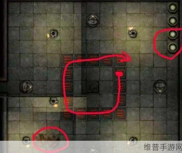 探秘长生劫，古墓中的奇幻冒险之旅
