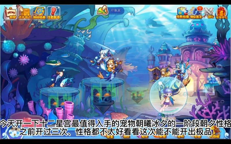 洛克王国朝曦冰夕性格加点与趣味玩法全解析