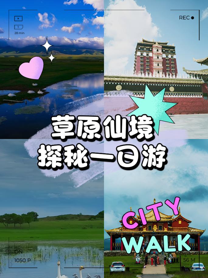 青青草原游戏,畅享休闲益智之旅