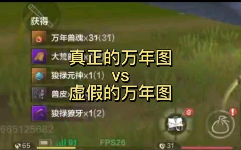 妄想山海手游深度攻略,揭秘万年图快速获取的高效策略与趣味玩法探索