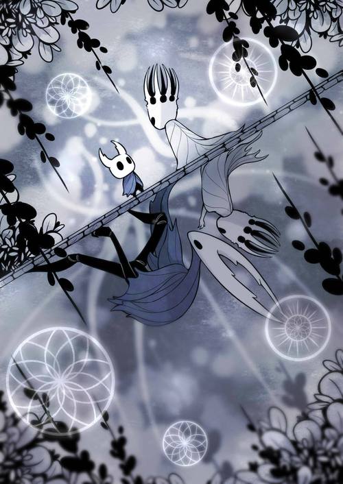 空洞骑士灵魂碎片，解锁力量与探索的钥匙