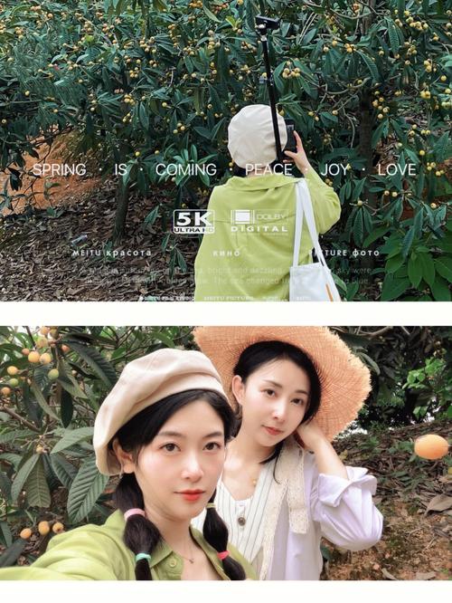 艾人的果园下载,轻松上手,趣味无穷的放置经营新体验