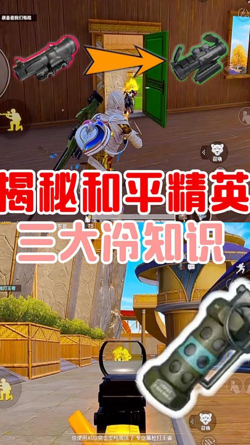 和平精英深度探索,鲜为人知的冷知识与趣味玩法揭秘