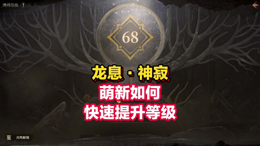 龙息神寂前期高效攻略,体力分配与策略详解,解锁趣味玩法新体验