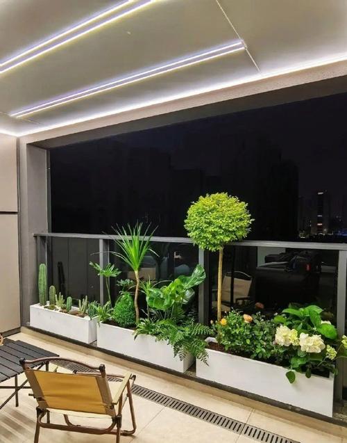 温暖小阳台,打造你的梦幻绿植乐园,休闲养成新体验