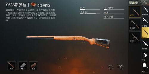 香肠派对突击步枪AK-12配件评测及推荐,打造你的战场利器,解锁趣味玩法!