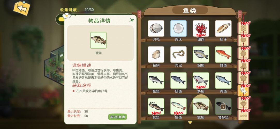 小森生活手游资讯,抗风外套制作秘籍及趣味玩法大揭秘