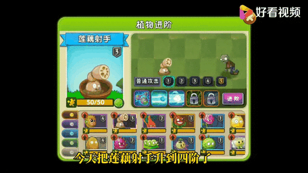 植物大战僵尸2莲藕射手升阶攻略，解锁战力与生存新境界