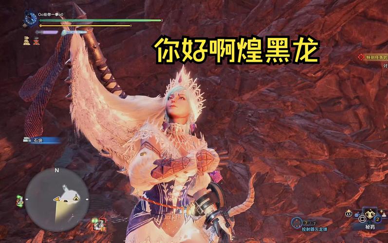 探险者纪元,揭秘怪物猎人下位猫蜥龙任务,挑战与乐趣并存