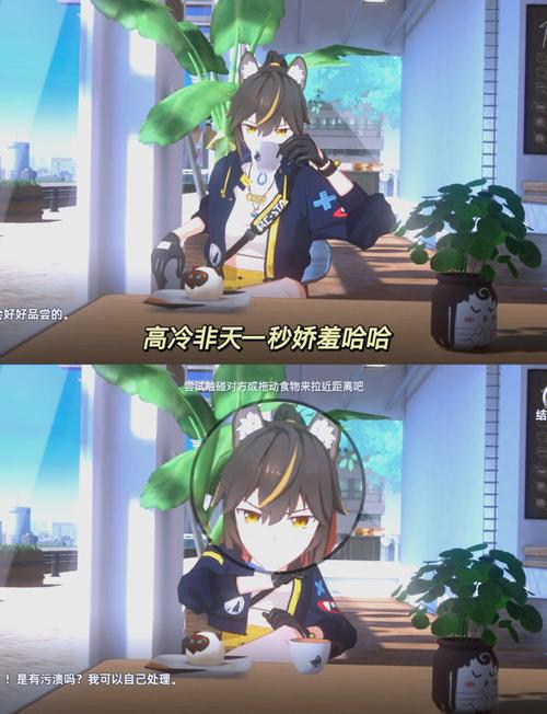 猫之城前期体力使用全攻略,高效探索与趣味玩法揭秘