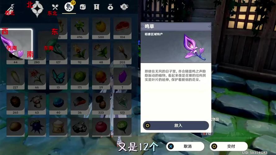 原神孤岛诊疗谭任务全攻略,解锁隐藏剧情与趣味玩法