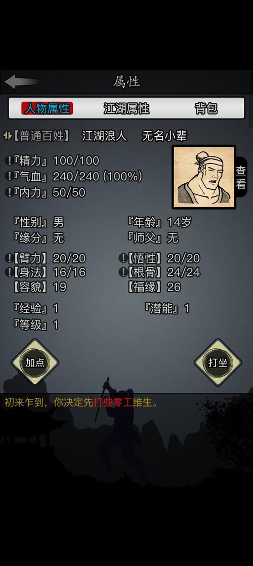 放置江湖0转武当加点攻略与趣味玩法详解