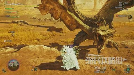 怪物猎人,沙漠之怒雌火龙攻略深度解析与趣味玩法探索